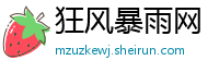 狂风暴雨网